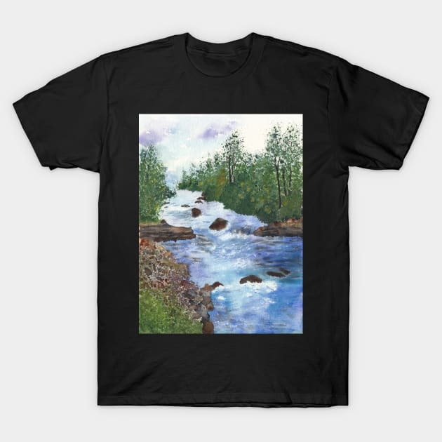 Clear Creek in Golden Colorado T-Shirt by ConniSchaf